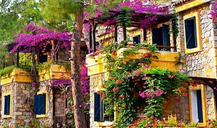 Symbola Ölüdeniz Beach Hotel - Manzara / Peyzaj