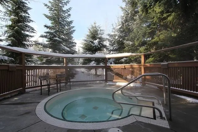 Symphony Condos by Whistler Retreats - Havuz