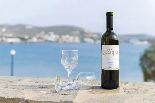 Syros Wellness Luxury Suites - Dış Mekan