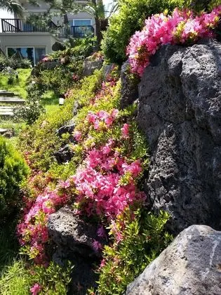 T Island Resort - Dış Mekan