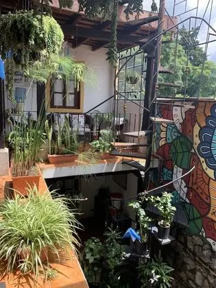 Hotel T KON T - Dış Mekan