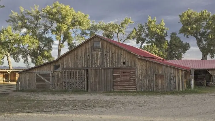 TA Ranch - Dış Mekan