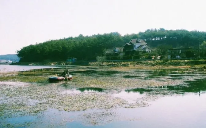 Taean The Nature and Lake Pension