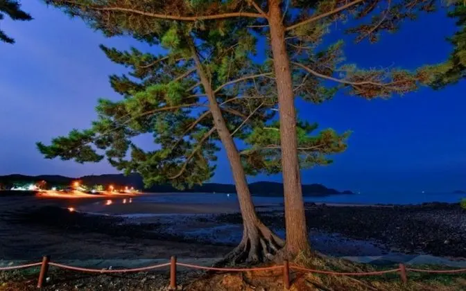 Taean Sea Travel Park