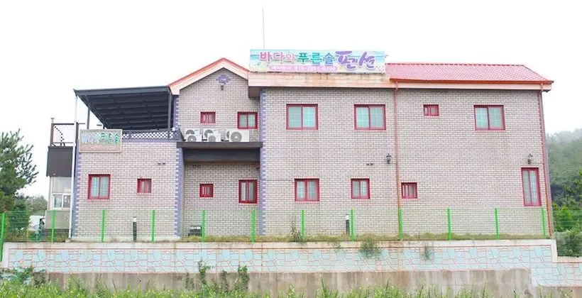 Taean Tree Pine Pension and Guest House - Dış Mekan