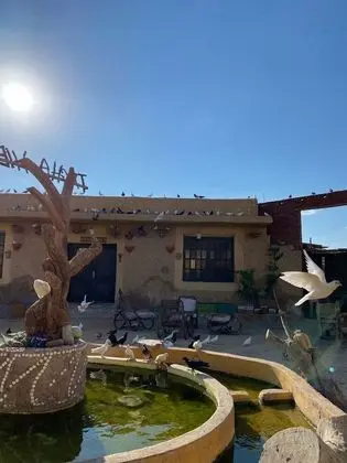 Taghaghien Island Resort - Dış Mekan