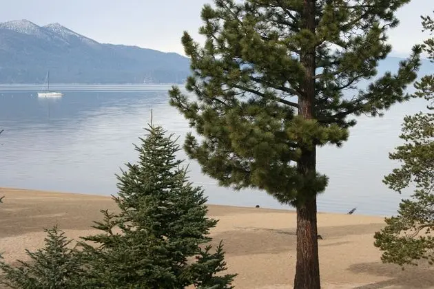 Tahoe Beach & Ski Club - Plaj