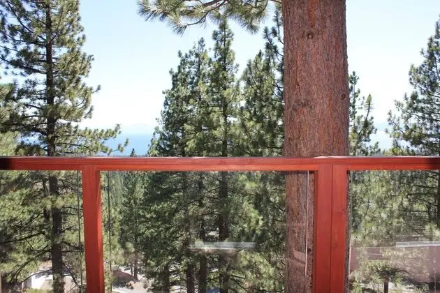 Tahoe Chaparral