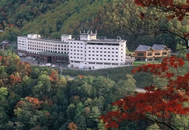 Hotel Taisetsu ONSEN＆CANYON RESORT