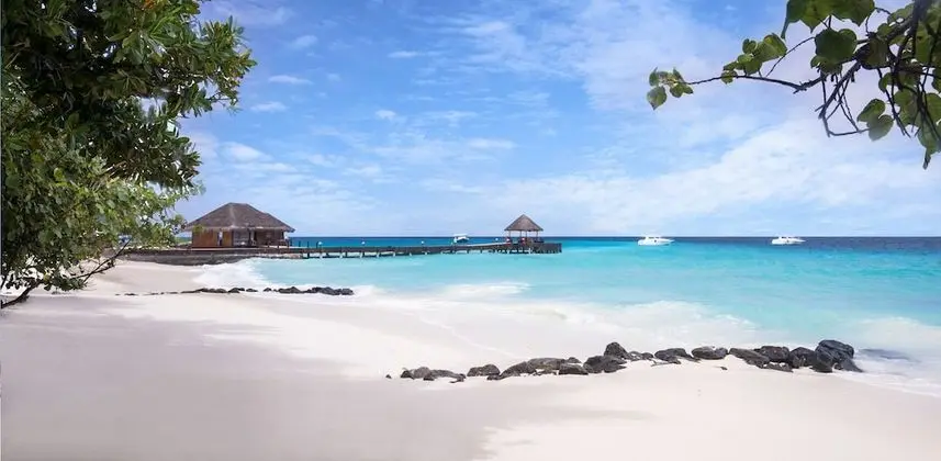 Taj Coral Reef Resort & Spa Maldives – A Premium All Inclusive Resort - Plaj