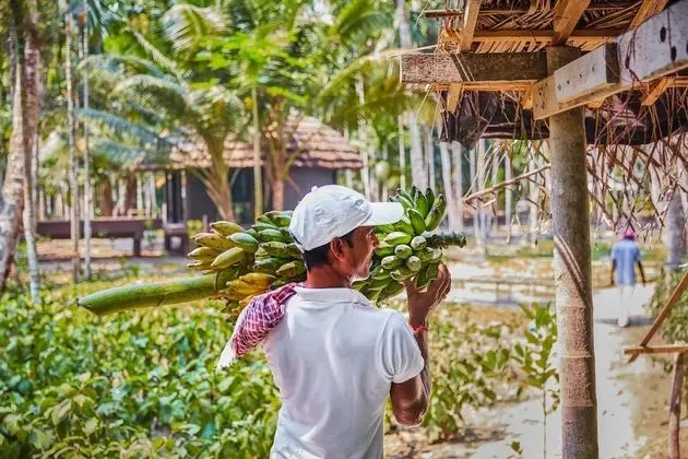 Taj Exotica Resort & Spa, Andamans - Dış Mekan