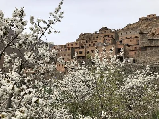 Talaoul Mountain Lodge / Riad Atlas 4 Seasons - Dış Mekan