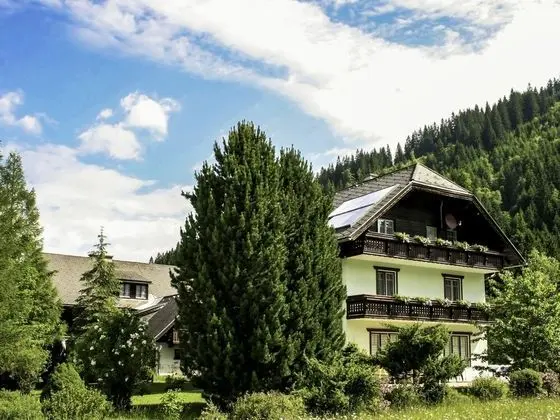 Talboden Donnersbachwald