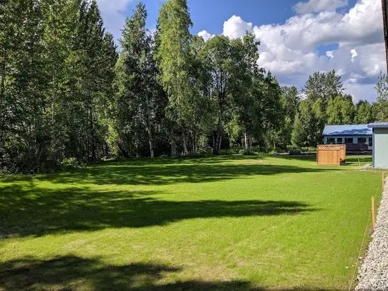 Talkeetna Inn - Oda Manzaraları