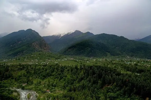 Tall Trees Resort Manali