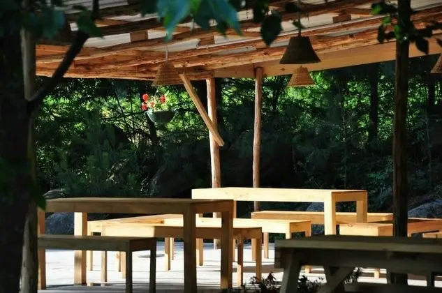 Tall Trees Resort Manali - Lobi