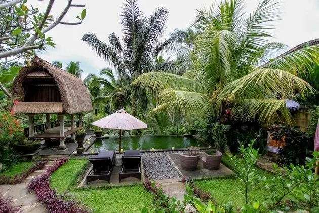 Taluh Bebek Ubud Private Villas - Havuz