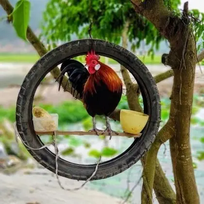 Tam Coc Amanda Villas - Dış Mekan