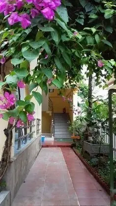 Tam Coc Family Hotel Ninh Binh - Dış Mekan