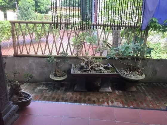 Tam Coc Hung Anh Homestay – Hostel - Dış Mekan