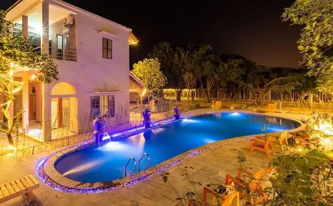 Tam Coc Lavender Homestay - Havuz