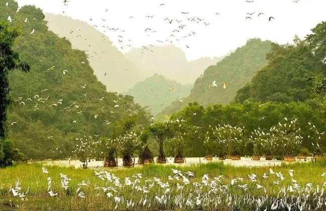Tam Coc Ngoc Linh Homestay - Dış Mekan