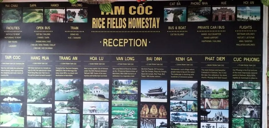 Tam Coc Rice Fields Homestay - Lobi