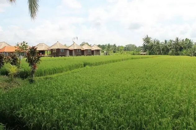 Taman Bintang Villa Ubud