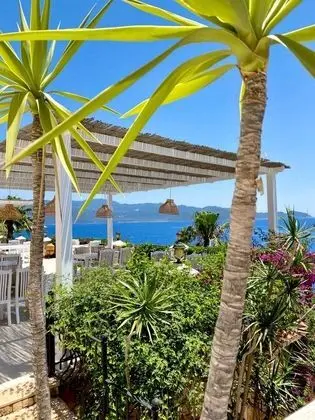 Villa Tamara Hotel - 9