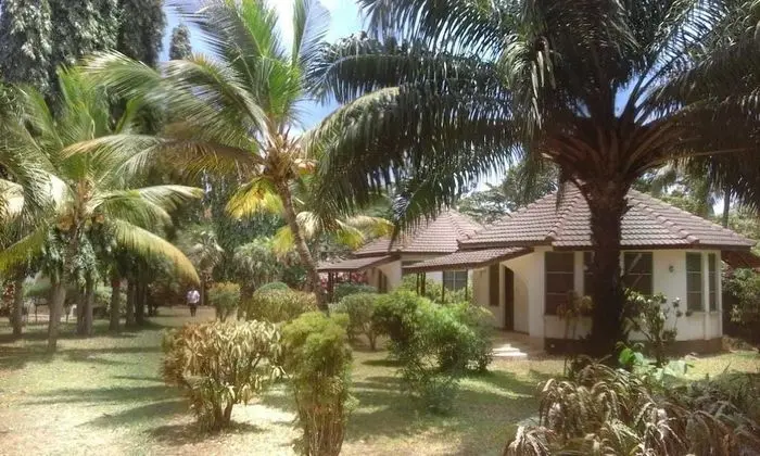 Tama's Villas - Dış Mekan