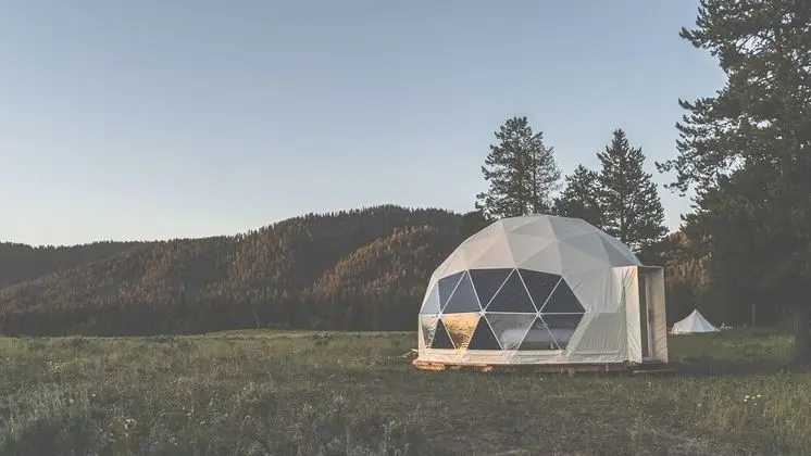 Tammah - Yellowstone