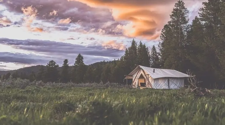 Tammah - Yellowstone - Öne Çıkan Resim