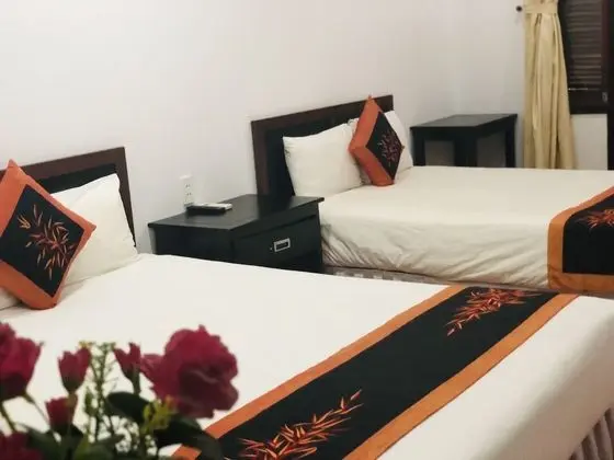 Tammy Hostel