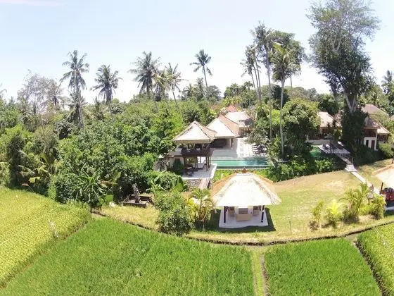 Tamu Seseh