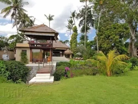 Tamu Seseh