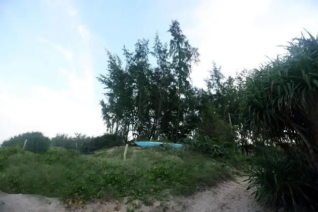 Tan Doan An Bang Center Beach villas - Genel