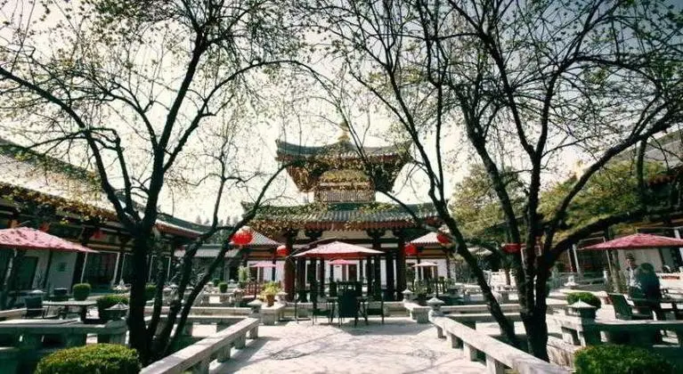 Tang Dynasty Art Garden