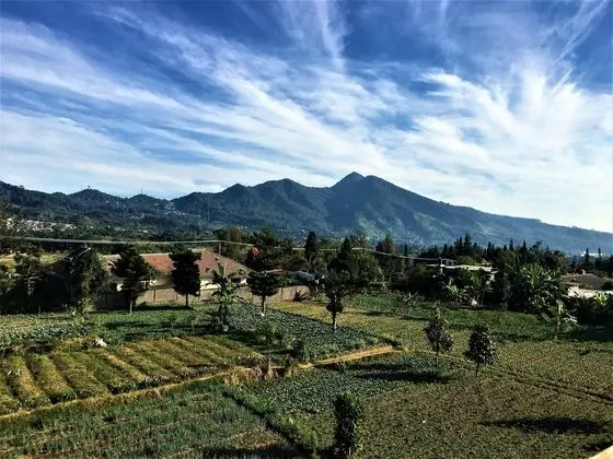 Tangko Inn Resort