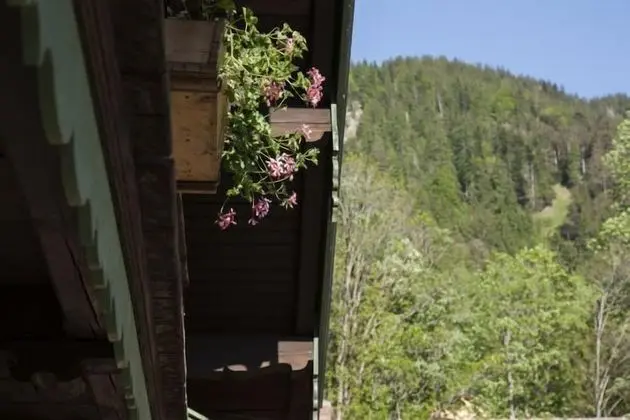 Tannerhof Naturhotel & Gesundheitsresort