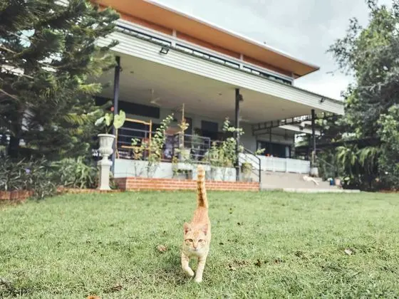 Tantai Eco Farm Stay at Khao Yai - Dış Mekan