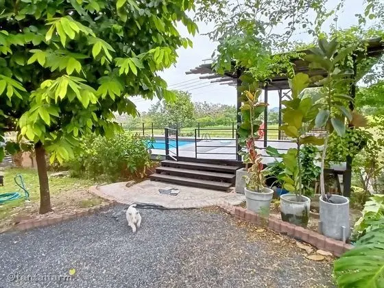 Tantai Eco Farm Stay at Khao Yai - Havuz