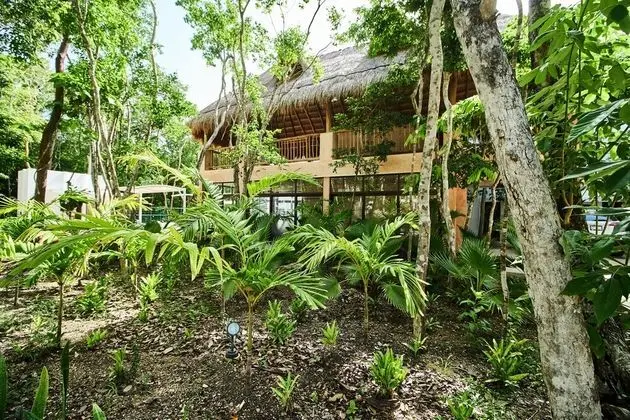 Tao Tulum M202 By Lockey