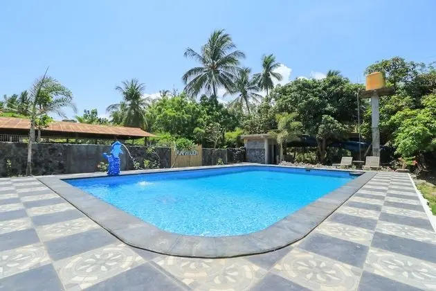 Hotel Tara Bar & Resto Air Sanih - Havuz