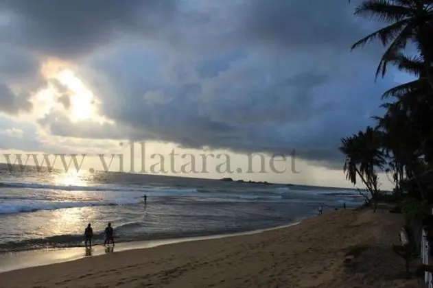 Villa Tara - Plaj