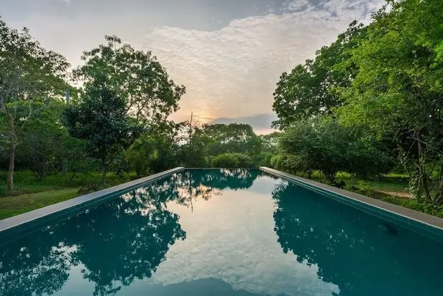 Taru Villas - The Yala Lodge - Havuz