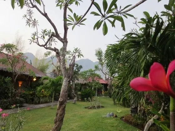 Taruna Boutique Homestay & Spa - Genel