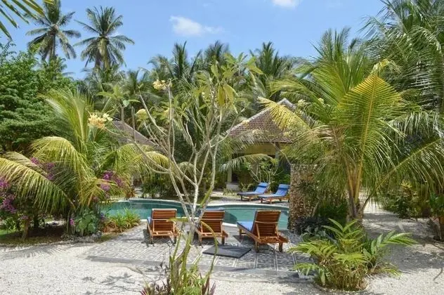 Tarzan Marriott On Penida