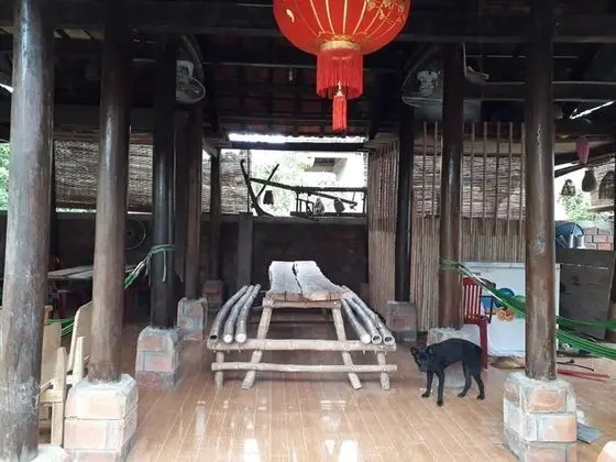 Tarzan's Homestay - Hostel - İç Mekan