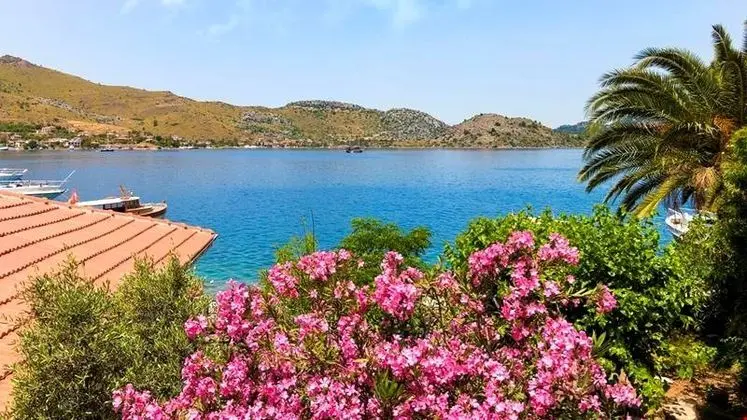 Taşdelen Selimiye - 1