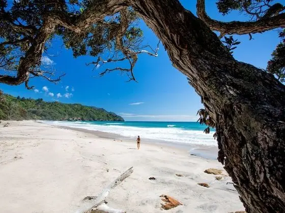 Tasman Holiday Parks – Waihi Beach - Plaj